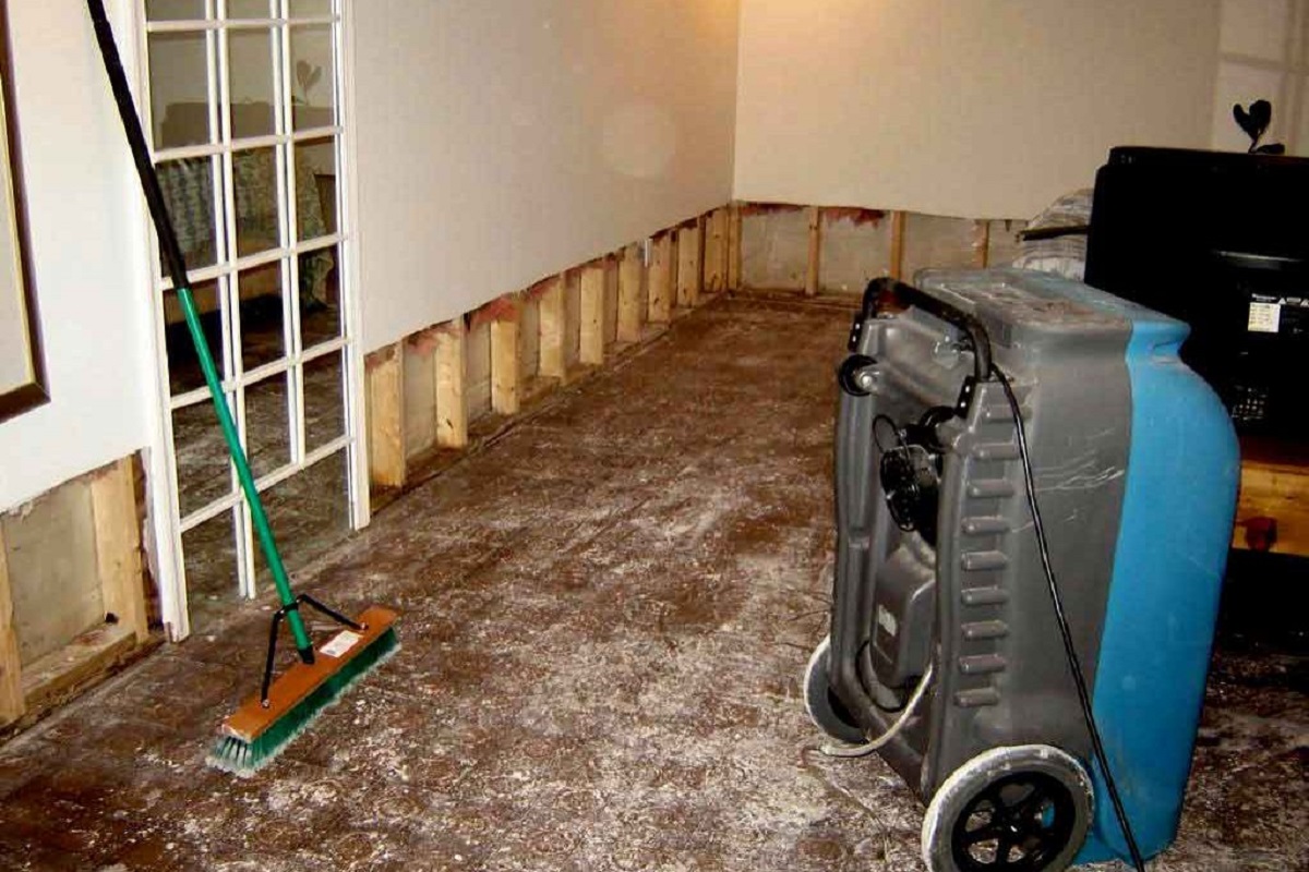 Mould Remediation